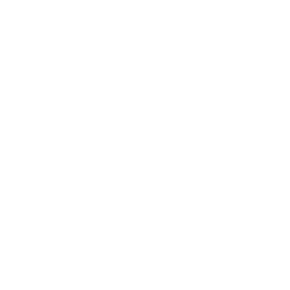 reactor logo inner